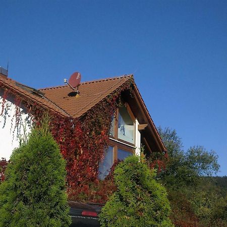 Ferienhaus am Löffelberghüttchen Gießübel Exterior foto