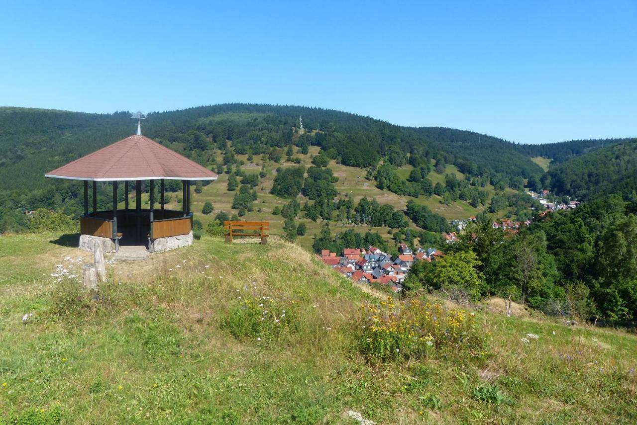 Ferienhaus am Löffelberghüttchen Gießübel Exterior foto