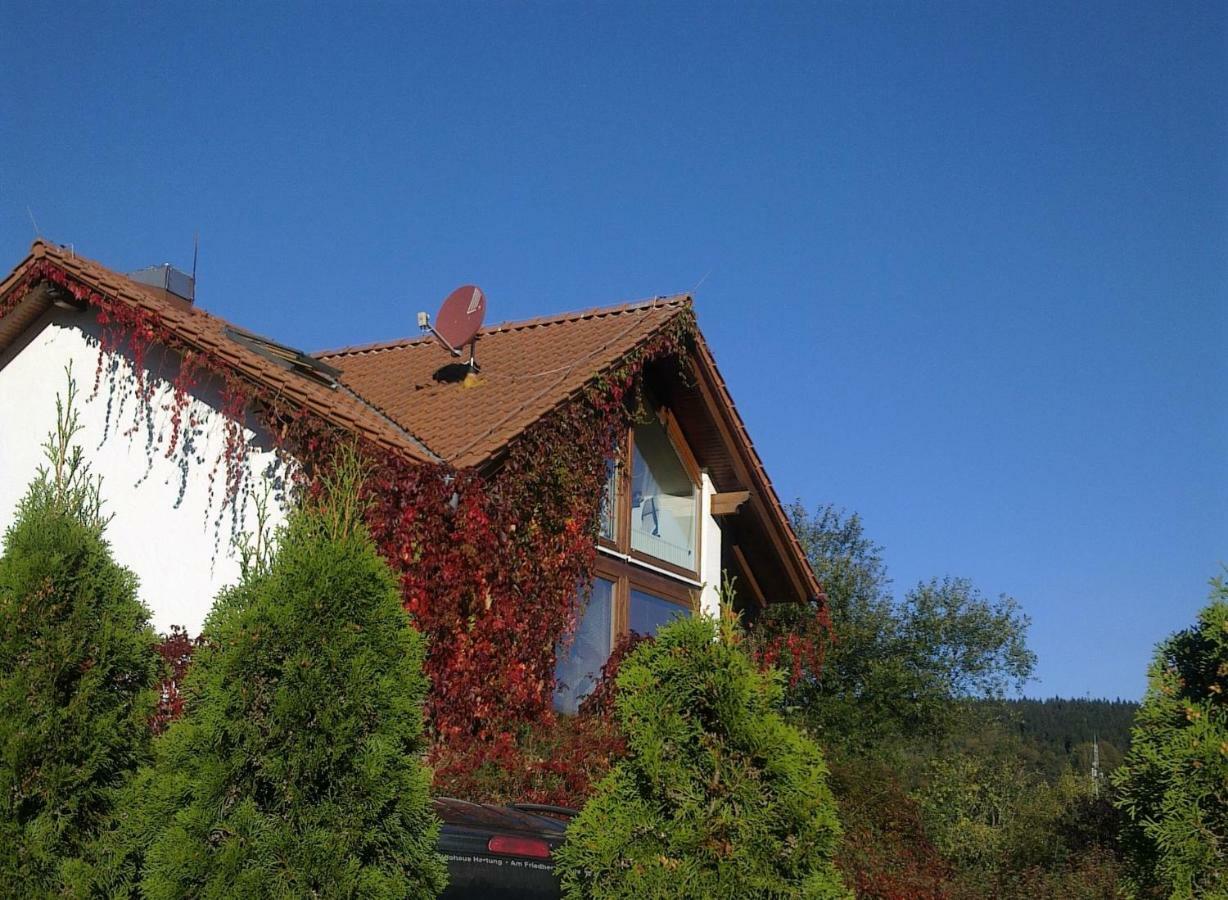 Ferienhaus am Löffelberghüttchen Gießübel Exterior foto